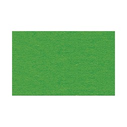 Kartong 300gr 50x70cm Gressgrønn 10
