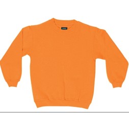 Classic Sweatshirt Jr Orange